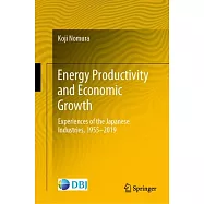 Energy Productivity and Economic Growth: Experiences of the Japanese Industries, 1955-2019