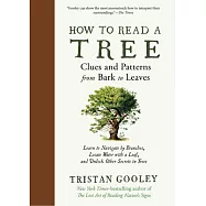 How to Read a Tree: Clues and Patterns from Bark to Leaves