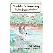 Sheldon&rsquo;s Journey: The story of a sweet-natured dog in search of his true home