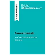 Americanah by Chimamanda Ngozi Adichie (Book Analysis): Detailed Summary, Analysis and Reading Guide