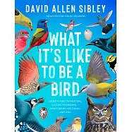 What It&rsquo;s Like to Be a Bird (Adapted for Young Readers): From Flying to Nesting, Eating to Singing--What Birds Are