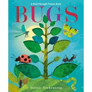 Bugs: A Peek-Through Picture Book