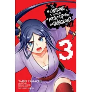 Is It Wrong to Try to Pick Up Girls in a Dungeon? II, Vol. 3 (Manga)