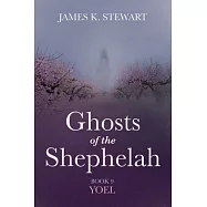Ghosts of the Shephelah, Book 9