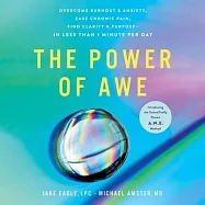 The Power of Awe: Overcome Burnout & Anxiety, Ease Chronic Pain, Find Clarity & Purpose--In Less Than 1 Minute Per Day