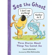 See the Ghost: Three Stories about Things You Cannot See