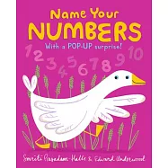 Name Your Numbers