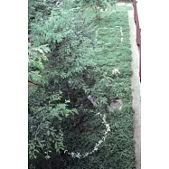 Kishio Suga: Writings: Volume 2, 1980-1989