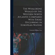 The Whalebone Whales of the Western North Atlantic Compared With Those Occurring in European Waters