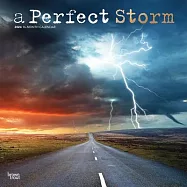 A Perfect Storm 2024 Square Foil