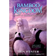 Bamboo Kingdom #3: Journey to the Dragon Mountain