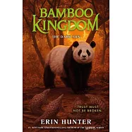 Bamboo Kingdom #4: The Dark Sun