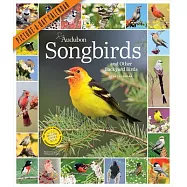 Audubon Songbirds and Other Backyard Birds Picture-A-Day Wall Calendar 2024