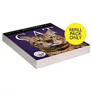 Cat Page-A-Day(r) Gallery Calendar Refill Pack 2024