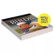 Audubon Birds Page-A-Day Gallery Calendar Refill Pack 2024