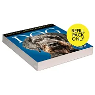 Dog Page-A-Day(r) Gallery Calendar Refill Pack 2024