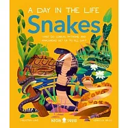 Snakes (a Day in the Life): What Do Cobras, Pythons, and Anacondas Get Up to All Day?