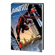 Daredevil: Guardian Devil Gallery Edition