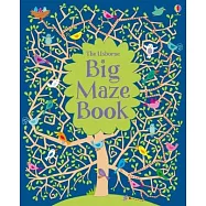 Big Maze Book