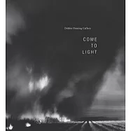 Debbie Fleming Caffery: Come to Light