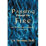 Passing Through The Fire