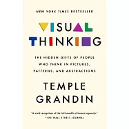 Visual Thinking: The Hidden Gifts of People Who Think in Pictures, Patterns, and Abstractions