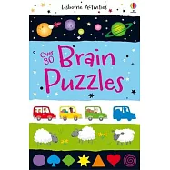 Over 80 Brain Puzzles