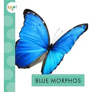 Blue Morphos