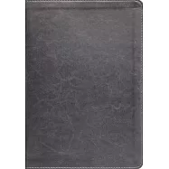 Esv, Thompson Chain-Reference Bible, Leathersoft, Gray, Red Letter