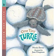 One Tiny Turtle