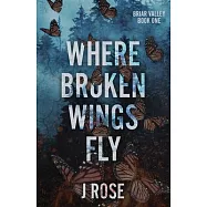 Where Broken Wings Fly