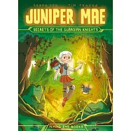 Juniper Mae: Secrets of the Guardian Knights