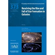 Resolving the Rise and Fall of Star Formation in Galaxies (Iau S373)