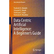 Data Centric Artificial Intelligence: A Beginner’s Guide