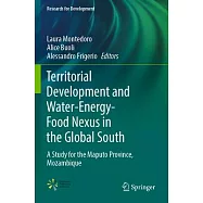 Territorial Development and Water-Energy-Food Nexus in the Global South: A Study for the Maputo Province, Mozambique