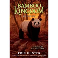 Bamboo Kingdom #4: The Dark Sun