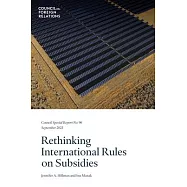 Rethinking International Rules on Subsidies