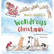Bud E. Bunny’s Wondrous Christmas