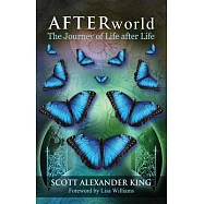 Afterworld: The Journey of Life After Life