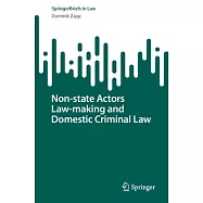 Non-State Actors Law-Making and Domestic Criminal Law