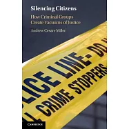 Silencing Citizens: How Criminal Groups Create Vacuums of Justice