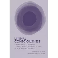 Liminal Consciousness: Developing Leaders, Teams, and Organizations for a Better World