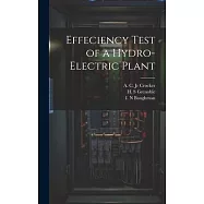 Effeciency Test of a Hydro-electric Plant