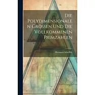 Die Polydimensionalen Grössen und die Vollkommenen Primzahlen
