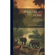 Wild Life at Home: How to Study and Photograph It