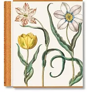 Besler. the Garden at Eichstätt