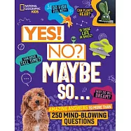 Yes! No? Maybe So...: Amazing Answers to More Than 250 Mind-Blowing Questions