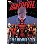 Daredevil: Shadowland Omnibus Cassaday Cover [New Printing]