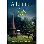 A Little Life