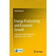 Energy Productivity and Economic Growth: Experiences of the Japanese Industries, 1955-2019